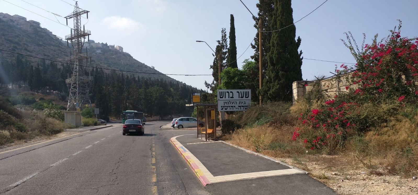 צילום: איחוד הצלה גבר ננשך על ידי כלבים בנחל שיח – מצבו בינוני