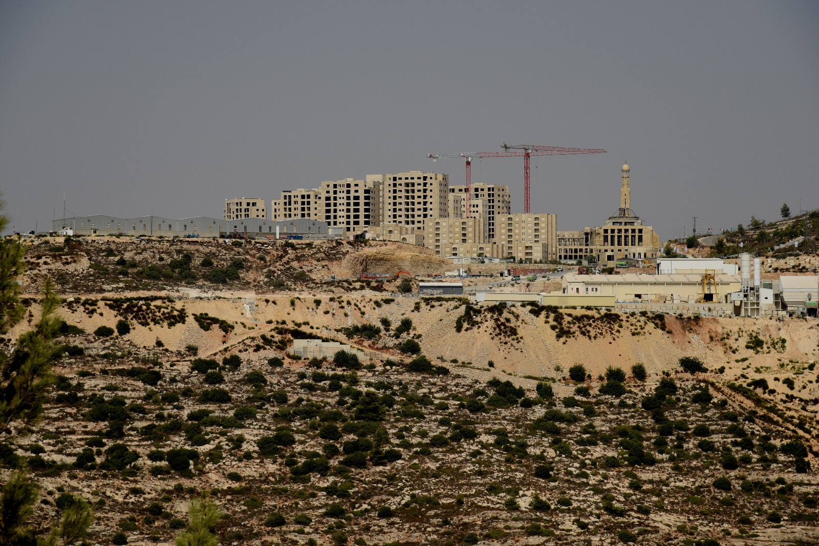 צילום: אליהו אבניאל קצינים וחיילים במכתב לשר הביטחון: הפסק סיורי החיילים ברוואבי