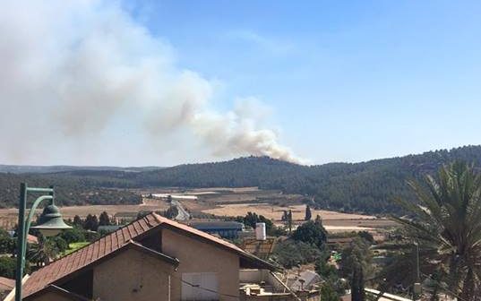 צילום: אפק מרדכי חקירת הכיבוי העלתה: השריפה ליד שריגים – הצתה