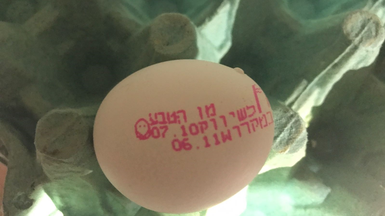 צילום: אדיבות המועצה לענף הלול בפעילות אגף הפיקוח בשיתוף כוחותינו נתפסה מכונה להחתמת חותמות מזוייפות של ביצי מאכל