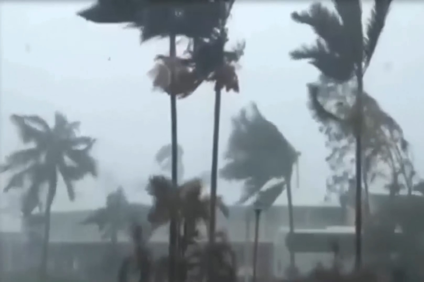 צילום: יוטיוב למרות היחלשות ההוריקן לדרגה 2: נמשכת היערכות החירום במזרח ארצות הברית