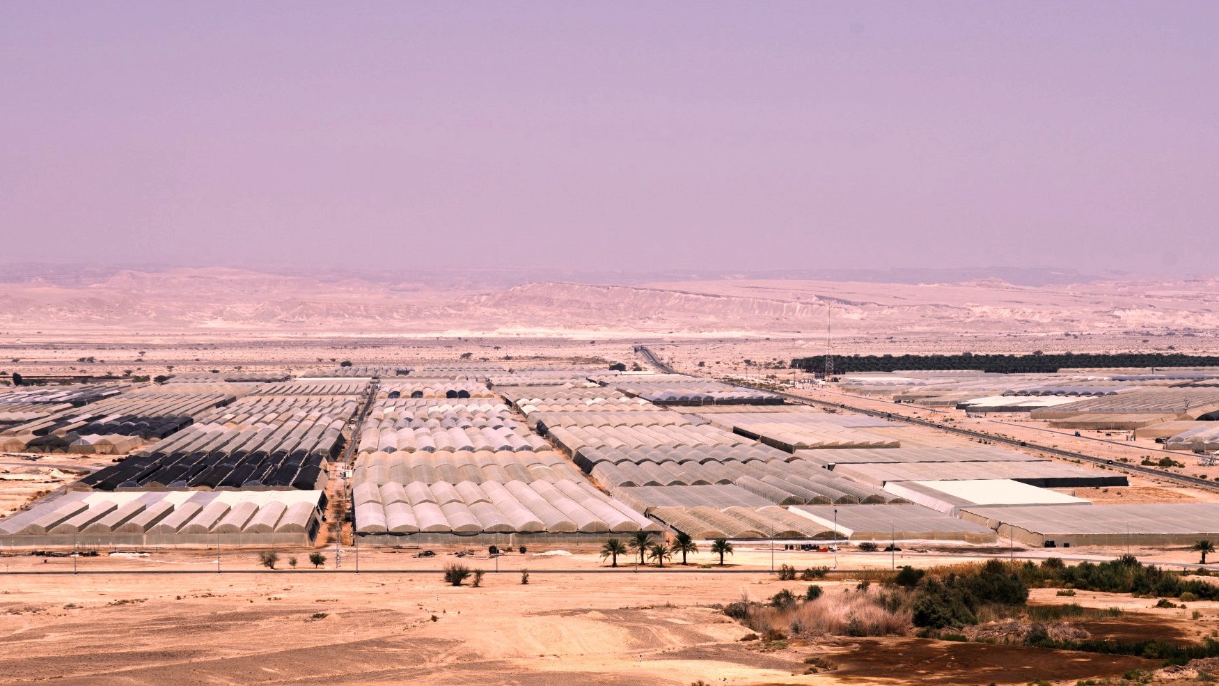 מועצה אזורית ערבה תיכונה תקצה שטחים להקמת שמורת טבע בתמורה לשטחי חקלאות