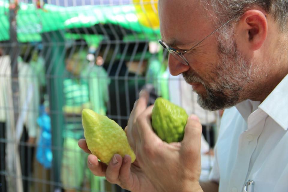 מהדרים במצווה: רגע לפני כניסת החג בחרו רבים את ארבעת המינים