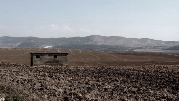 צילום: ענבל נהיר, אתר פיקיויקי משרד הבריאות: אותרו שני תנים נגועים בכלבת במושב פרזון ובשדות מרחביה