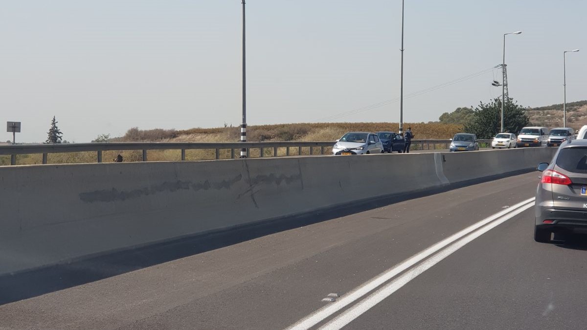 צילום: מדברים תקשורת מחאת הנכים: שיבושי תנועה בכביש 1 לכיוון מזרח