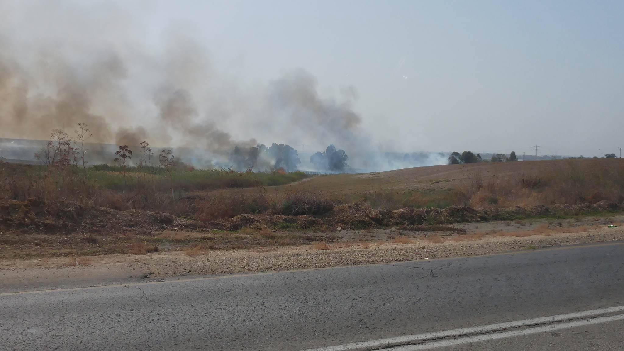 חשד להצתה: שריפה פרצה בסמוך לכביש 411 ליד קיבוץ חולדה