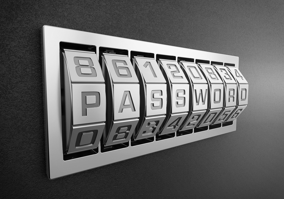 צילום: pixabay.ccom המנעולן מהדרום