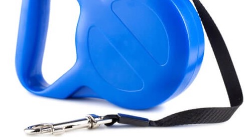 צילום: iCLIPART איזה ציוד יש לרכוש לפני שמאמצים או קונים כלב חדש?