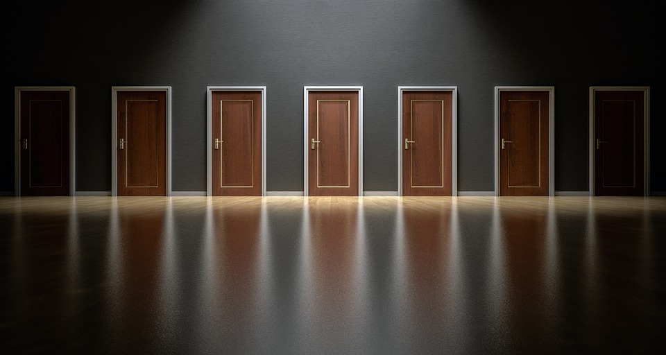 צילום: pixabay.com דלתות פנים לבית – מה קרה לעץ המלא?
