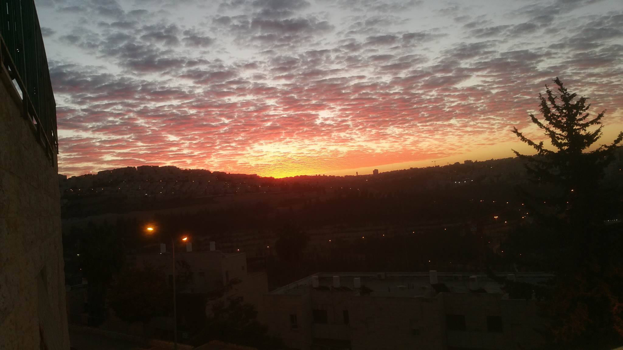 צילום: רועי ניסימיאן בוקר טוב עם ישראל היקר | תחזית מזג האוויר: בהיר ויבש, טמפרטורות גבוהות מהרגיל