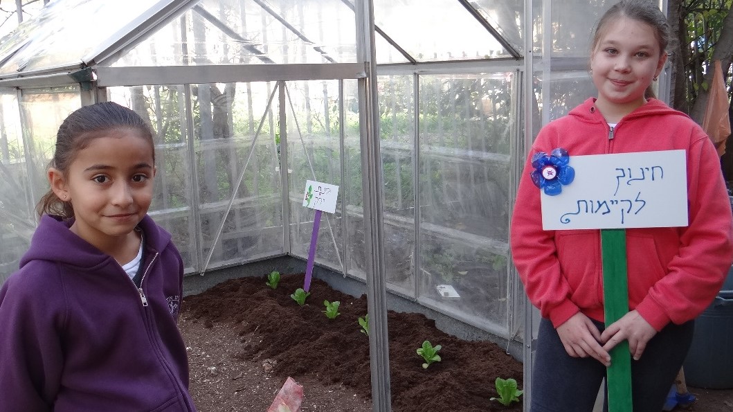 צילום: עיריית קריית אתא פרוייקט ייחודי: חינוך סביבתי בבתי הספר היסודיים