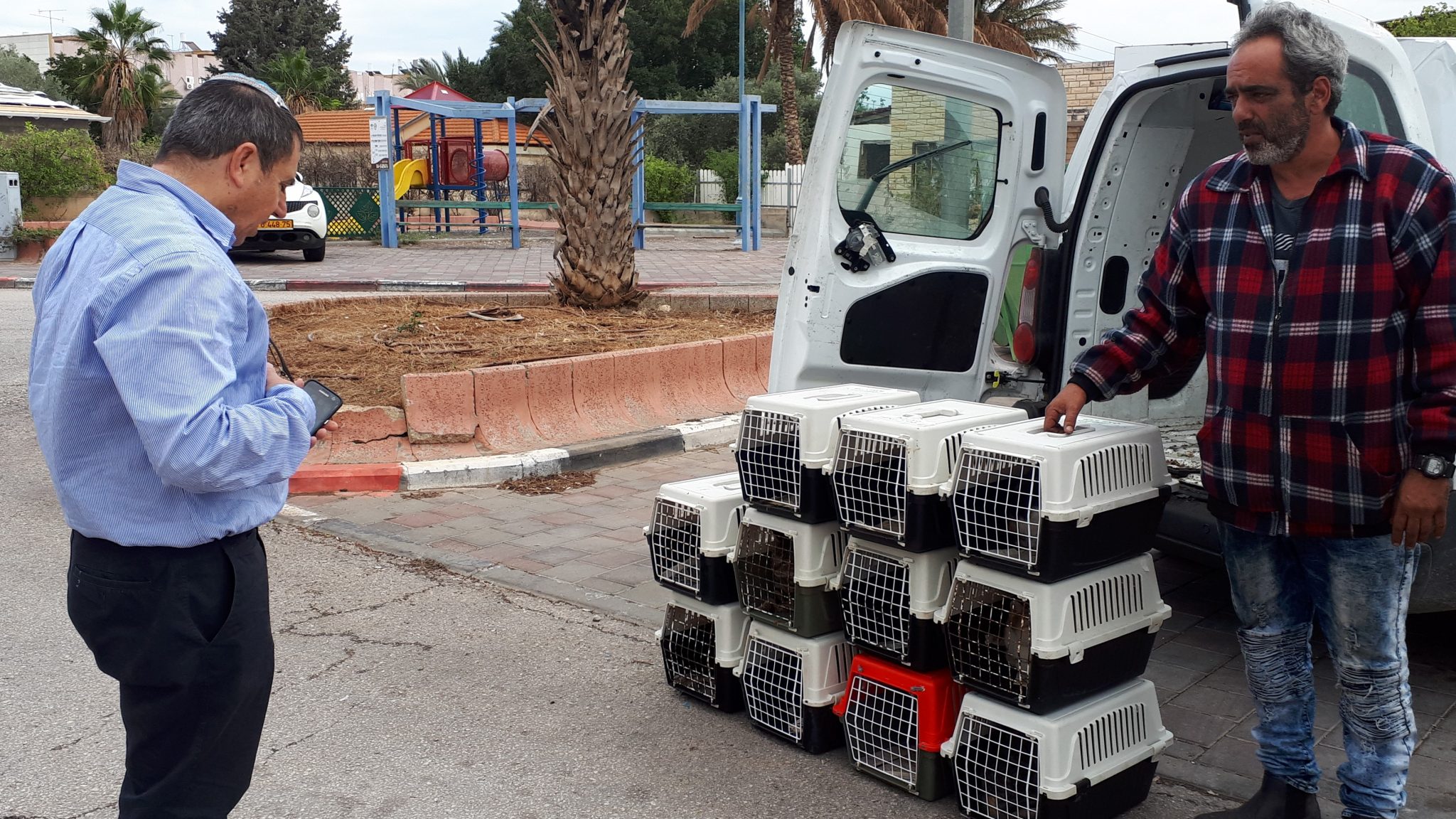 צילום: עיריית בית שאן מבצע עיקור וסירוס חתולי רחוב ברחבי בית שאן