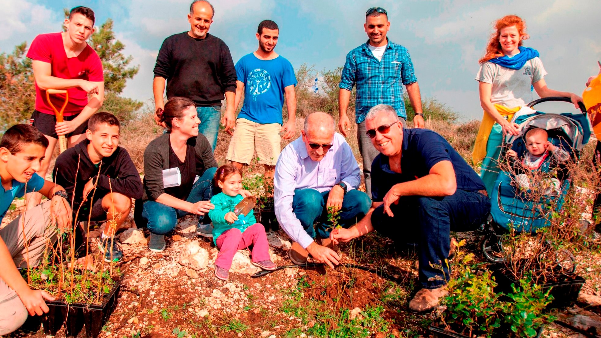 צילום: מועצת הדבש נלחמים להצלת הדבורים: אלפי עצים ושיחים צופניים יינטעו ע