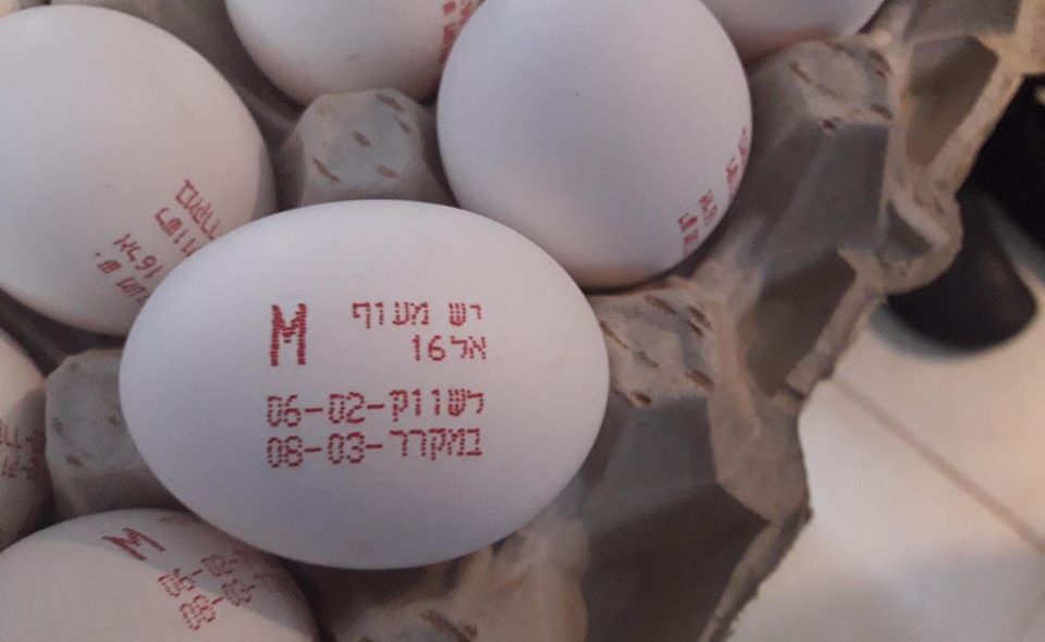 זהירות חיידקים: אזהרה לציבור מביצים עם חותמת מזויפת. החברה לציבור: ״אין לצרוך ויש להשמידן״