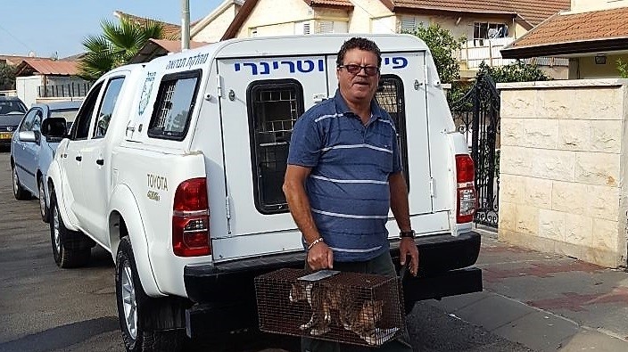 צילום: דוברות עיריית מגדל העמק מגדל העמק: מחסנים גם את החתולים נגד כלבת