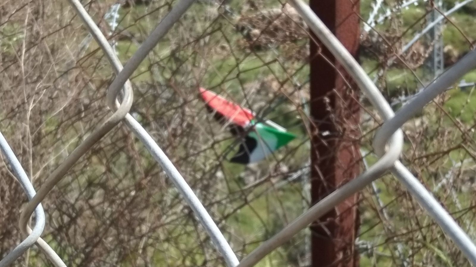 צילום: 0404 ערבים תלו את דגל הרשות על גדר הביטחון בביתר עילית