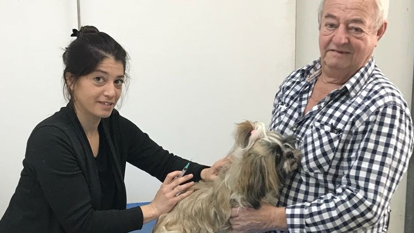 צילום: עיריית מגדל העמק מגדל העמק: מחסנים חינם נגד כלבת