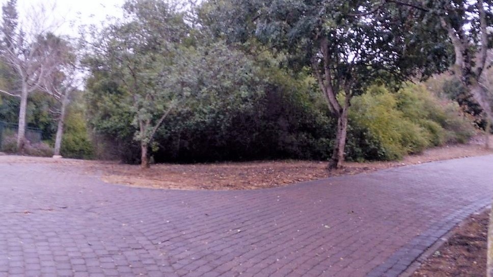 צילום: עיריית מגדל העמק מגדל העמק: חודשה 'טיילת יערת העמק'