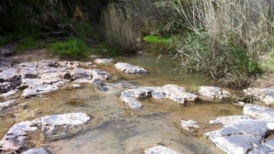 צילום: ויקיפדיה בעקבות התפשטות מחלת הפה והטלפיים נסגרו מספר שמורות טבע. היכנסו לרשימה המלאה