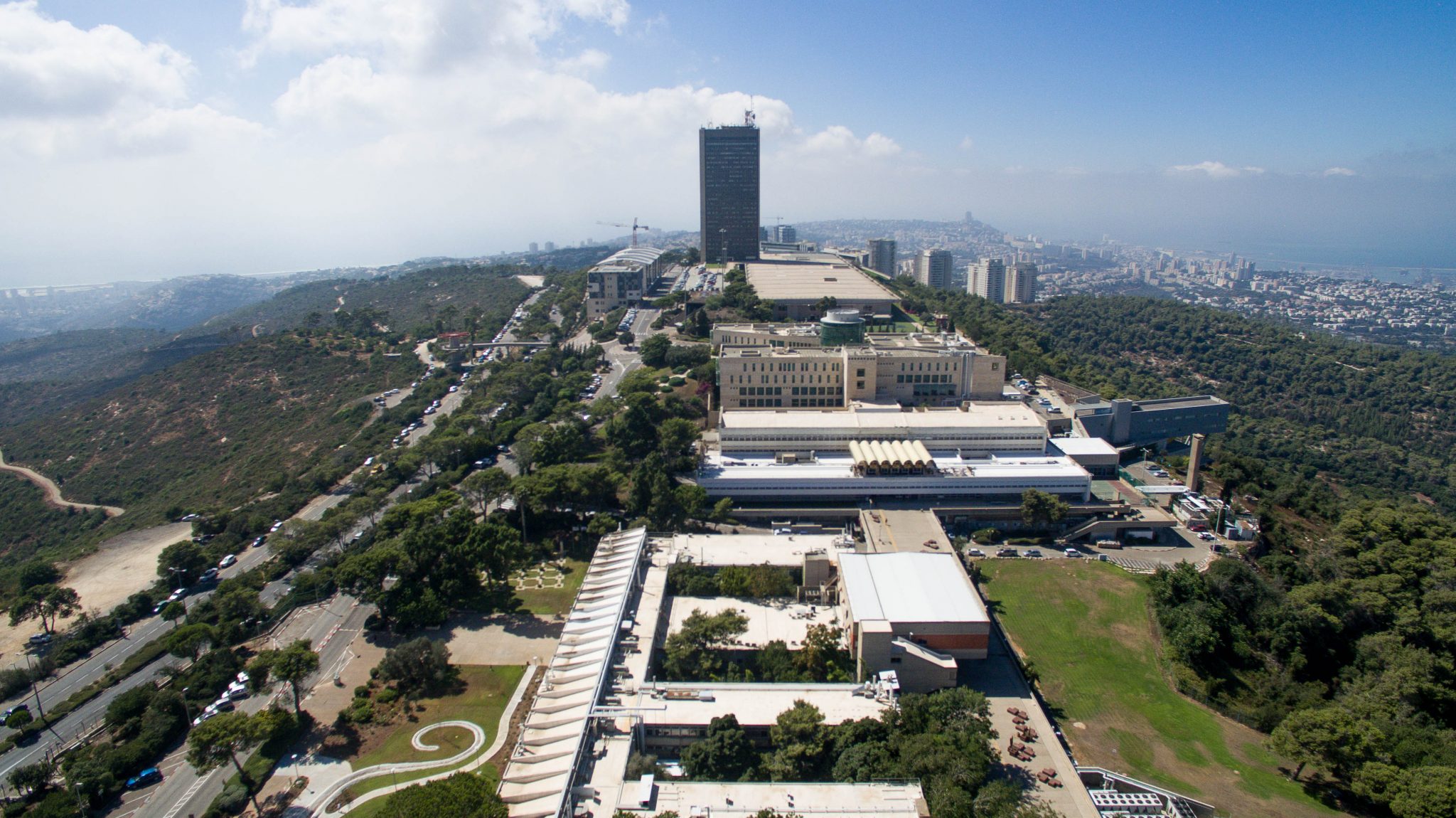 צילום: דוברות אוניברסיטת חיפה אוניברסיטת חיפה פותחת קו חם לסיוע רגשי בעקבות התפרצות הקורונה