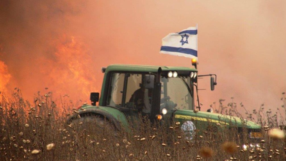 צילום: רפי בביאן טרור העפיפונים מגיע להאג: חקלאים מעוטף עזה תובעים את מנהיגי חמאס