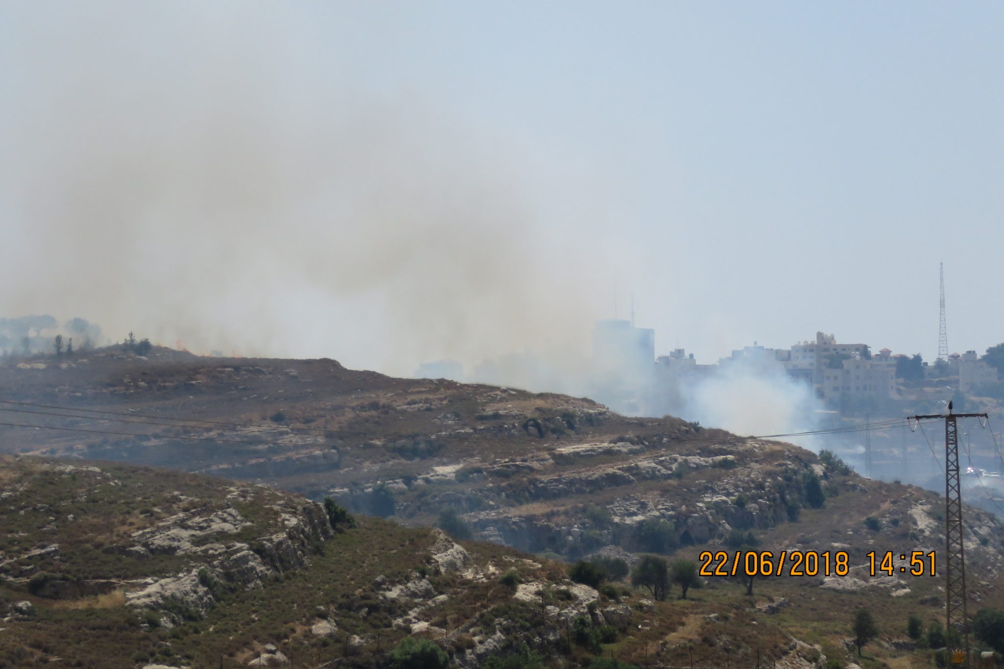 צילום: ארי קניאל, עוצמה יהודית צפו בתמונות: ערבים הציתו שריפה סמוך לבית אל – ושרפו לעצמם חיטה וזיתים
