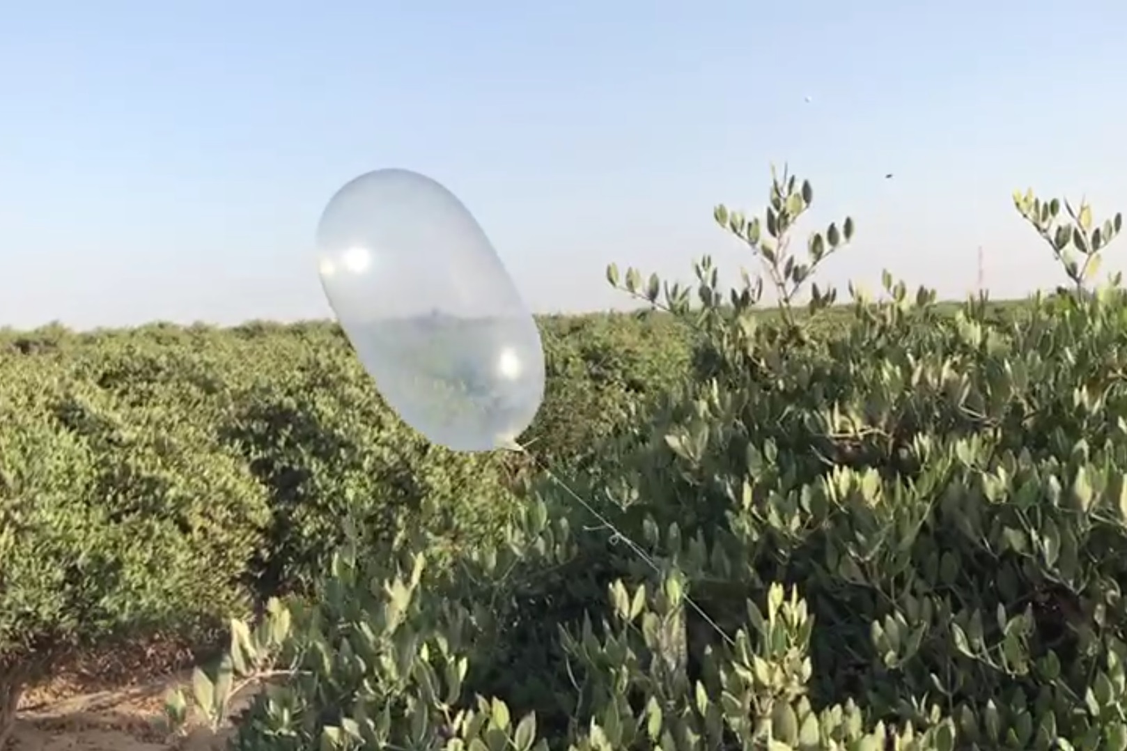 צילום: רפאל חיון, 0404 בלון עם חפץ חשוד נפל בתוך יישוב בעוטף – חבלן הוזעק למקום