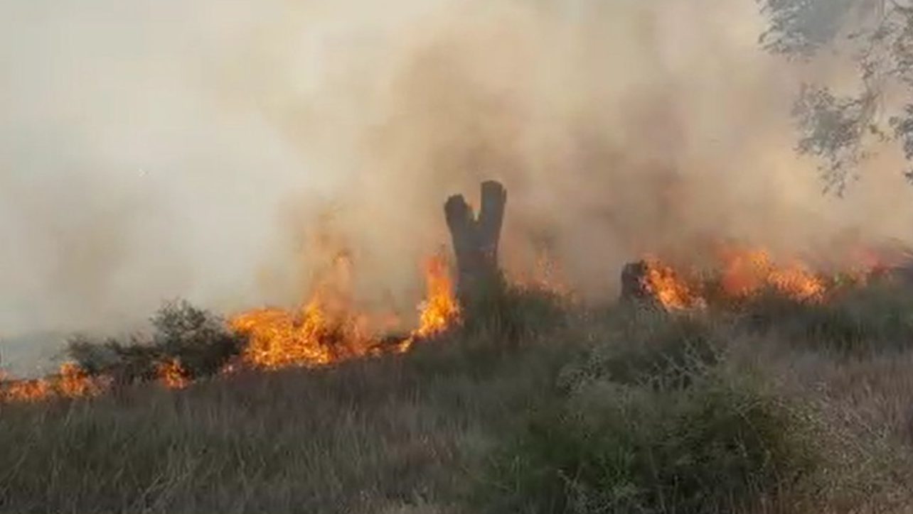 טרור הבלונים בדרום: שריפה גדולה פרצה סמוך לעלומים – צפו