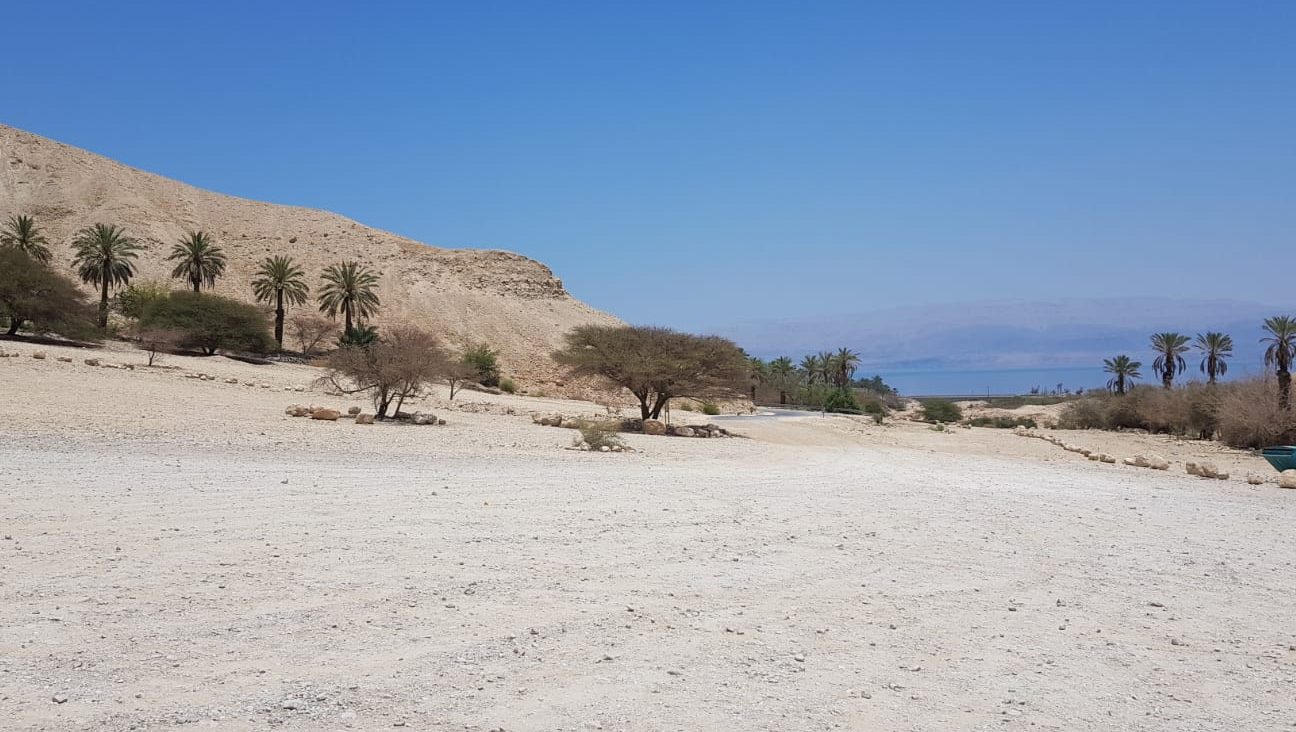 צילום: אלון, 0404 המשך יום נפלא ורגוע לכל עם ישראל מעין גדי