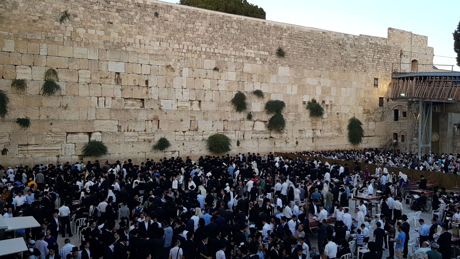 צילום: 0404 בין שתדלנות לעצמה ומנהיגות