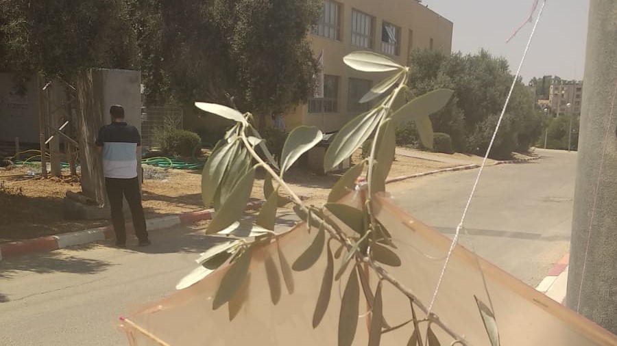 צילום: חמדת הדרום עפיפון תבערה נחת בשטח המכללה חמדת הדרום. נשיא המכללה: "אם עפיפון נחת בשטח המכללה זה יכול להיות גם פצמ"ר"