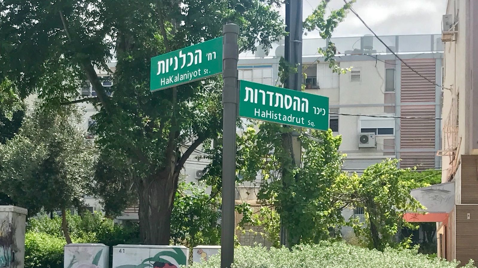 צילום: עיריית נשר ירוקים ונוצצים – שלטי הרחובות החדשים של עיריית נשר