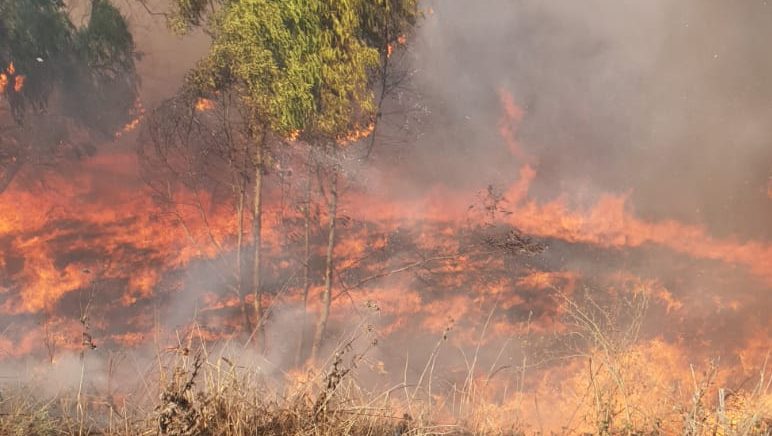 טרור האש נמשך: 7 שריפות פרצו בעוטף ישראל כתוצאה מבלוני תבערה