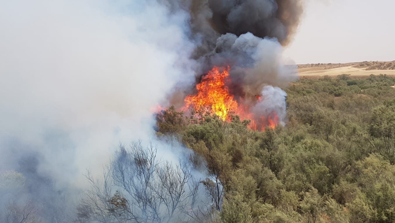 צילום: דוברות כבאות והצלה מחוז דרום כוחות כיבוי רבים הוזעקו לשריפה גדולה שפרצה באזור רעים – נבדק חשד להצתה מבלון תבערה