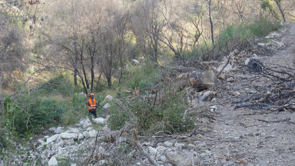 4 מיליון ש"ח יושקעו בניקוי ושיקום נחל אחוזה מנזקי השריפה ב-2016