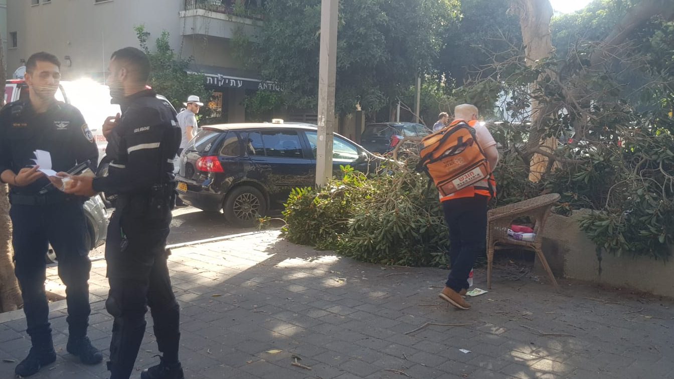 צילום: מאיר חכמון בן 80 נפצע בינוני לאחר שנפגע מעץ שקרס בתל אביב