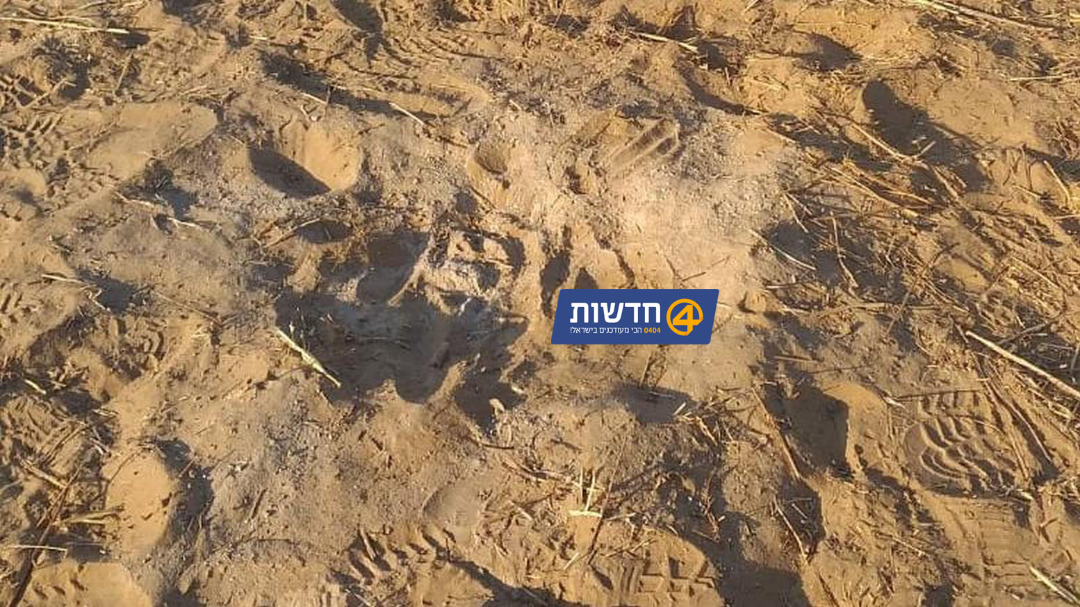 פרסום ראשון: מטען חבלה שהוחדר עם בלון מעזה התפוצץ בשטח הארץ