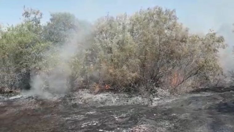 צילום: איציק לוגסי, יערן קק״ל טרור האש: בלוני תבערה הציתו שלוש שריפות בעוטף ישראל