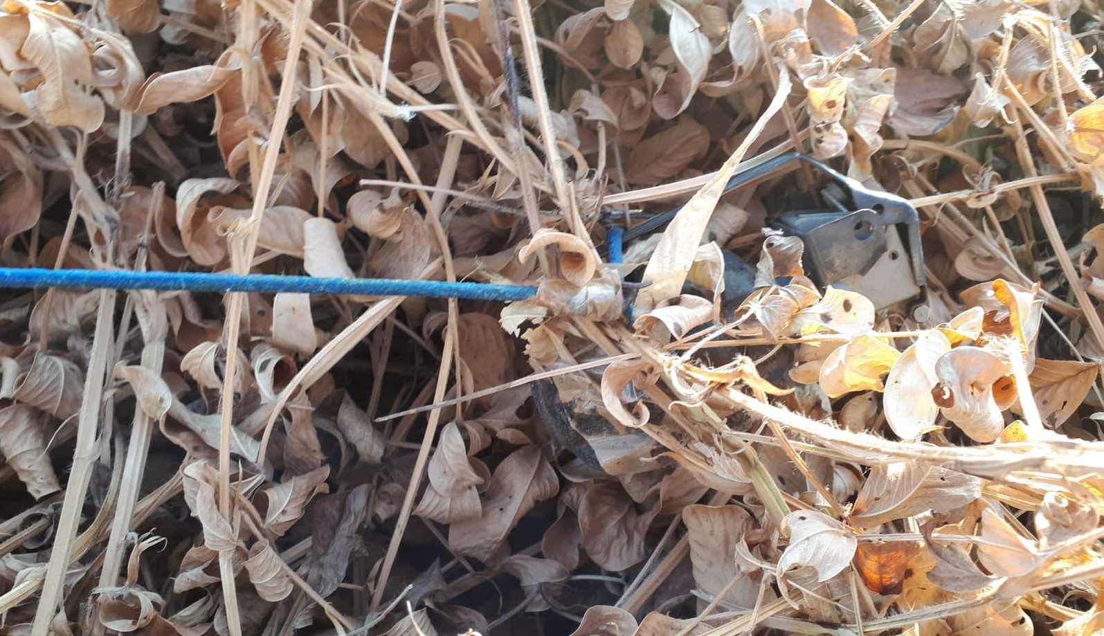 צילום: דוברות המשטרה ראש מועצת אשכול על בלון הנפץ: