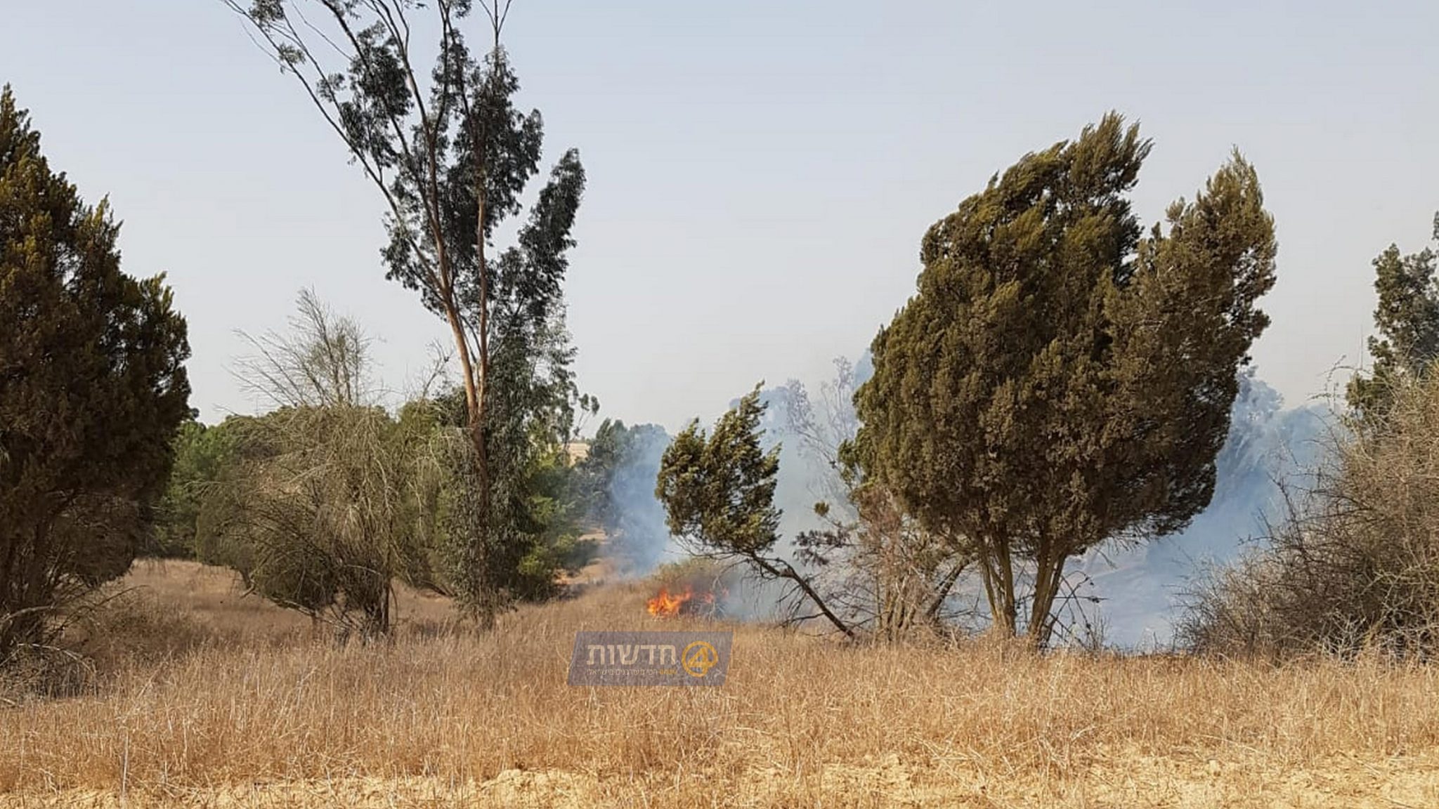 צילום: 0404 טרור בלוני התבערה: שריפה הוצתה במועצה האזורית אשכול