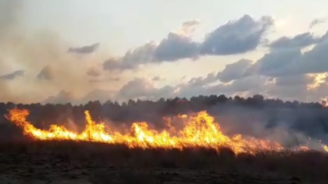 צילום: צוות כיבוי אש בארי אחרי החלטת ליברמן להעביר דלק לעזה: 3 שריפות מבלונים בתוך זמן קצר