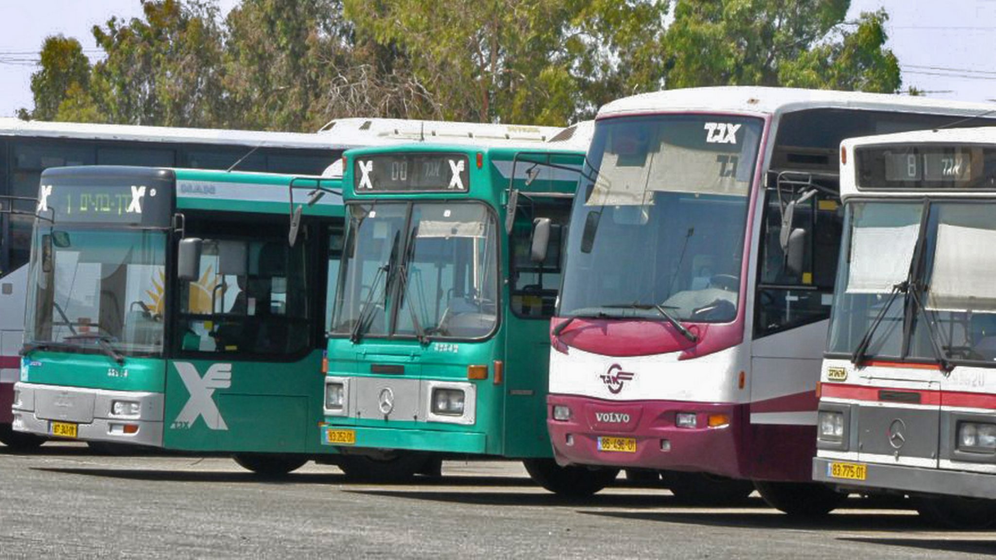 צילום: מאת' קיי, ויקיפדיה קבינט הקורונה אישר פה אחד: יותר נוסעים יוכלו לנסוע באוטובוסים