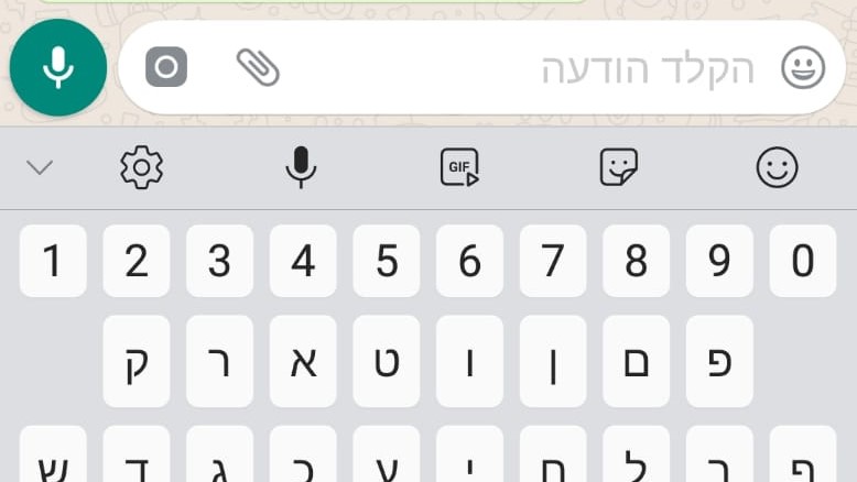 צילום: 0404 כתיבת הודעות תוך כדי הליכה מעלה את הסיכון של אנשים מבוגרים ליפול