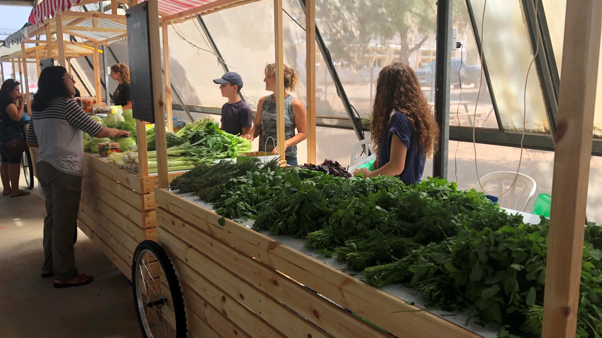 צילום: דוברות אשכול מוזמנים: הישר מהשדה – שני שווקי איכרים תוצרת צפון הנגב