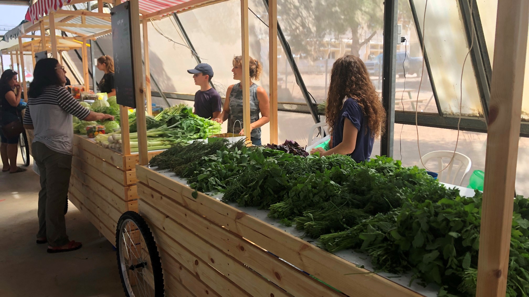 מוזמנים: הישר מהשדה – שני שווקי איכרים תוצרת צפון הנגב