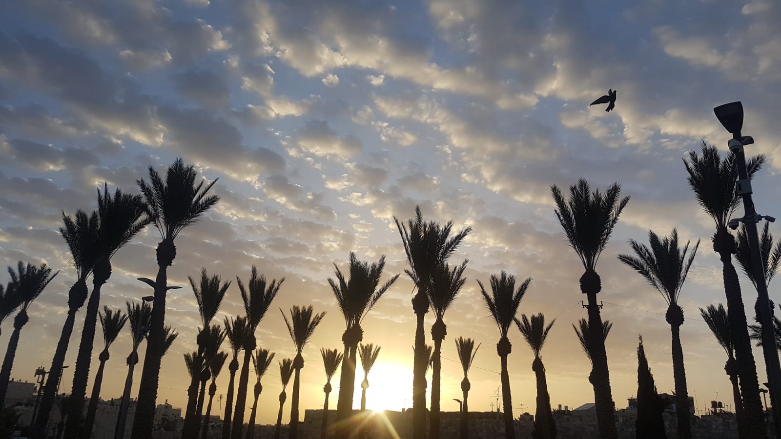 צילום: פנחס מרגוליס בוקר טוב ישראל | תחזית מזג האוויר: עלייה ניכרת בטמפרטורות, ייתכנו טפטופים