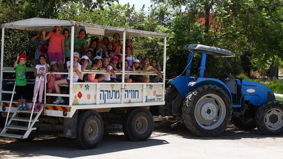 צילום: באדיבות תיירות קיבוץ יד מרדכי קיבוץ יד מרדכי פותח את שעריו ומציע למשפחות חוויה קיבוצית אמיתית