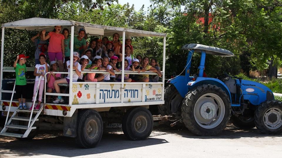 קיבוץ יד מרדכי פותח את שעריו ומציע למשפחות חוויה קיבוצית אמיתית