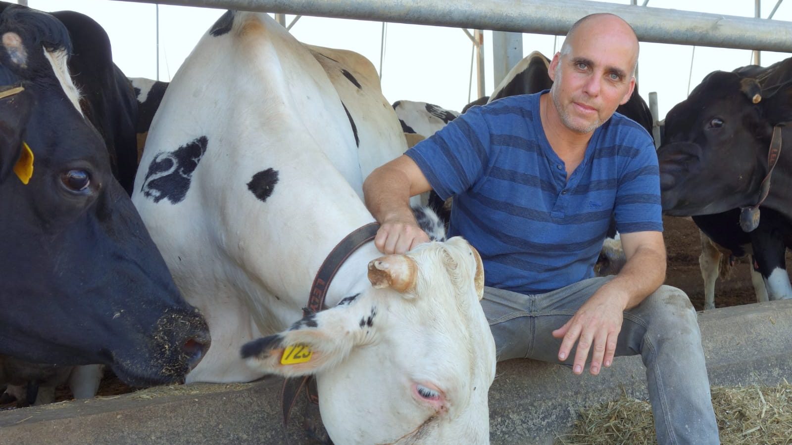 צילום: יוסי בלט הישג לרפתנים: ביהמ"ש הוציא צו עיכוב זמני על ביצוע הסכם החלב. ייתכן והמדינה תיאלץ להשיב לבג"ץ תנובה