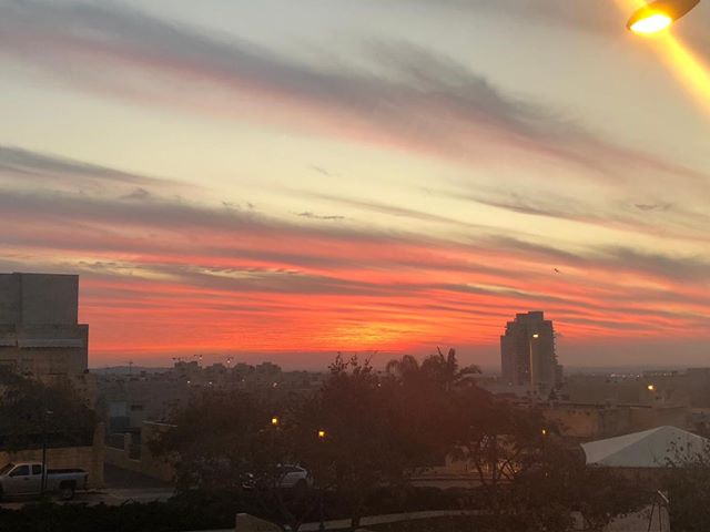 צילום: הדר חביב מחבטי המשך שבוע חמים מהרגיל | תחזית מזג האוויר המעודכנת